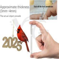 Cardinal Christmas Countdown 2025 Advent Calendar 3