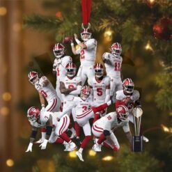 Indiana Hoosiers Big Ten Championship Victory Special Ornaments