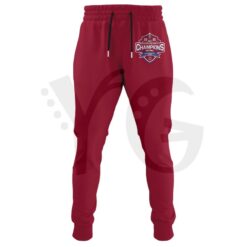 South Carolina State 2025 Celebration Bowl Champions Hoodie 4