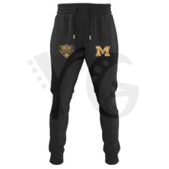 Michigan Wolverines Cheez It Citrus Bowl Champions Special Merch Collection 4