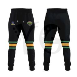 Providence Bruins Turtle Powered RI Comic Hockey Jersey 4